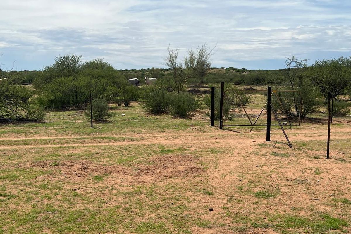 A Lifestyle Investment in the Heart of Nature - Photo 2