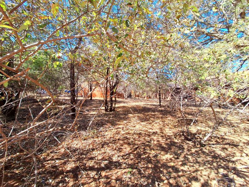 500m2 Stand in Prime Location - Photo 5