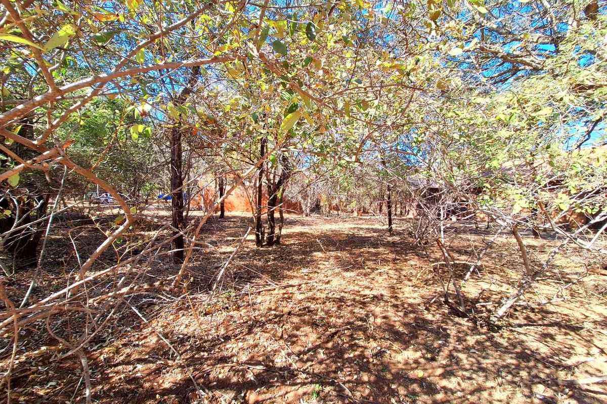 500m2 Stand in Prime Location - Photo 5