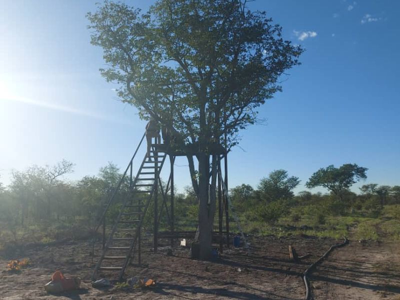 FOR SALE- FARM IN THE TSUMEB/ ETOSHA AREA, NAMIBIA - Photo 6