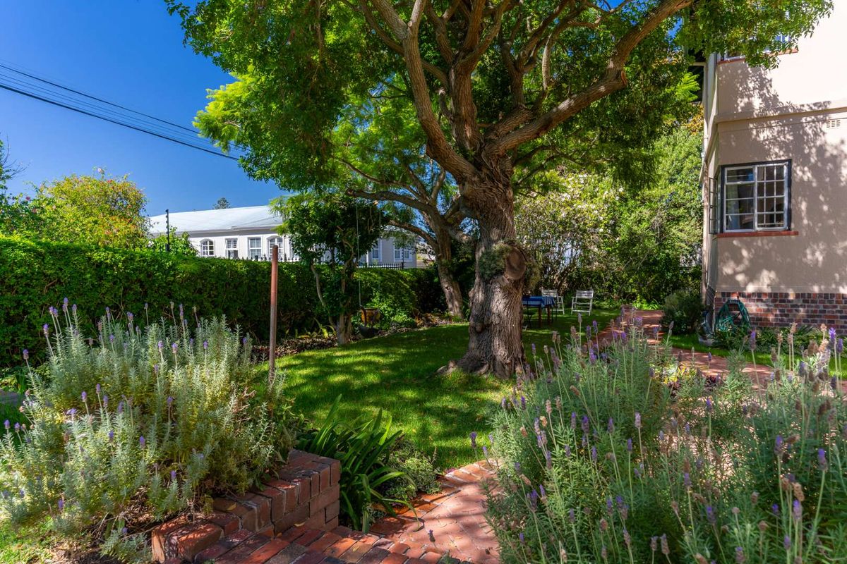 A Haven - Neat & Spacious Lock-Up-and-Go Apartment. - Photo 4