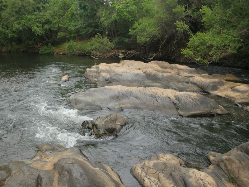 Alluring riverfront stand for sale. - Photo 5