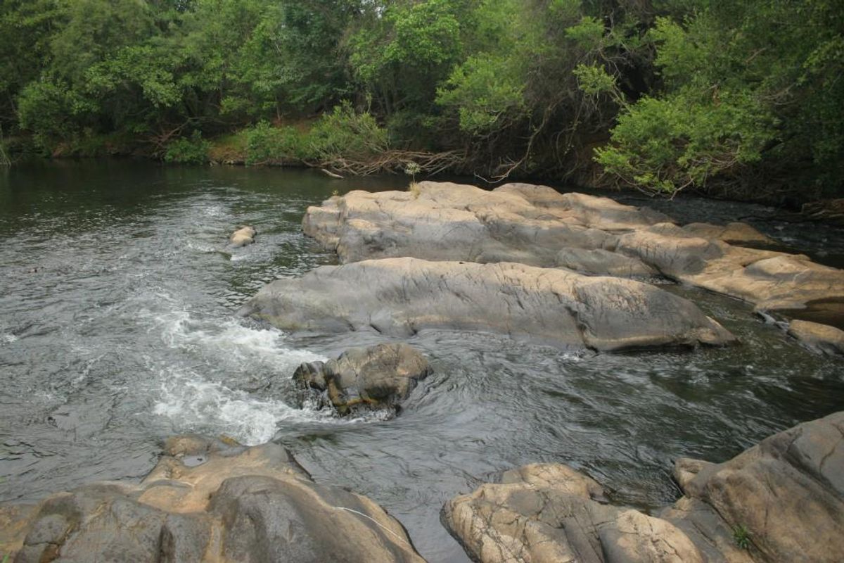 Alluring riverfront stand for sale. - Photo 5