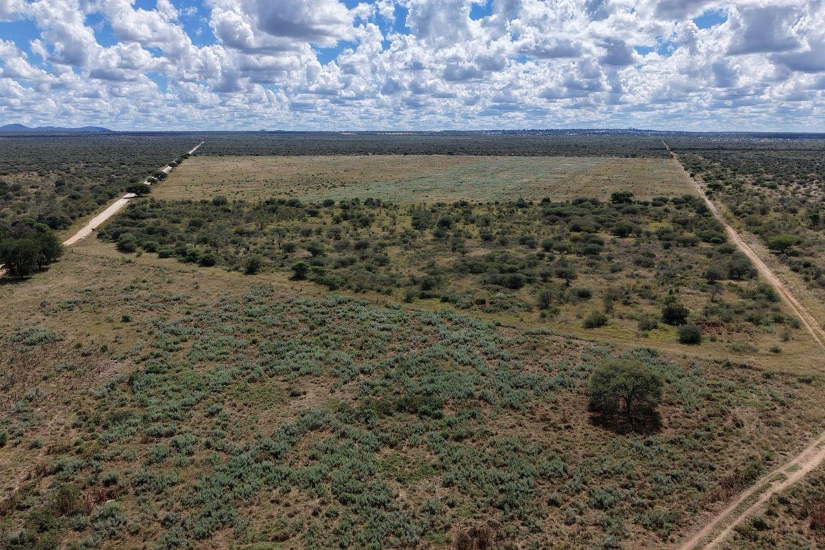 FEEDLOT FARM FOR SALE – GROOTFONTEIN - Photo 3