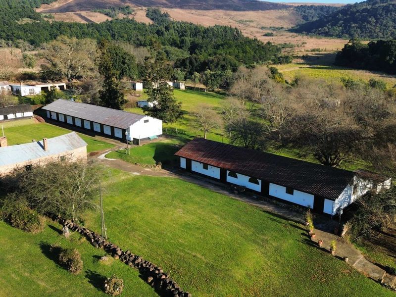 Prime Midlands Investment: Historic Estate with Equestrian Potential in Nottingham Road - Photo 1