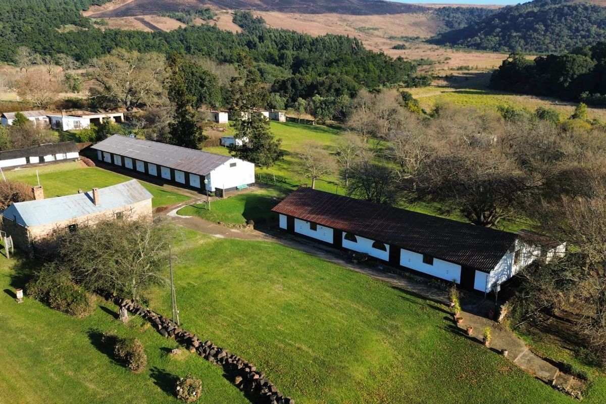 Aerial view of a farm property featuring multiple outbuildings, expansive green lawns, and surrounding rural landscape.