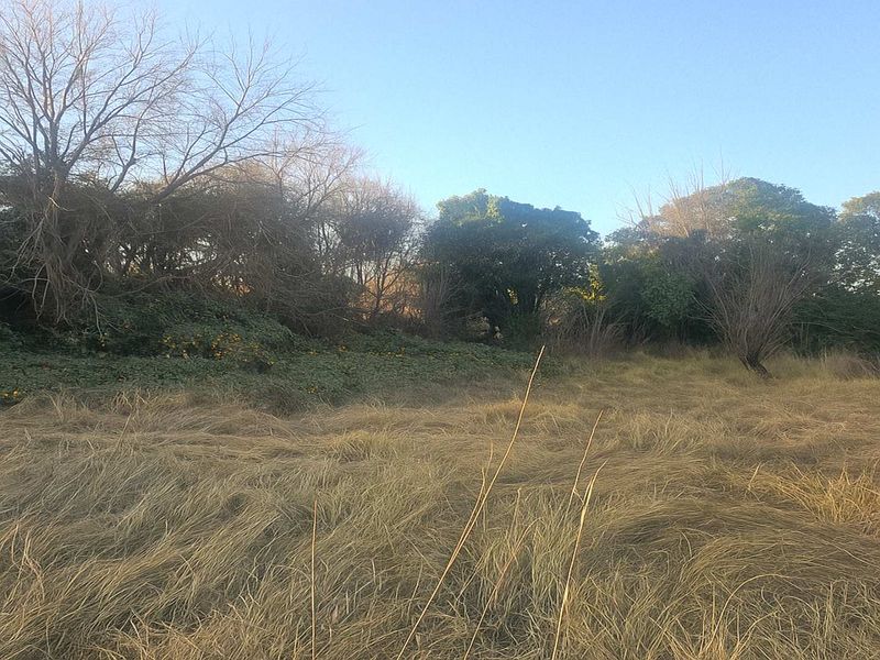 Property with Exceptional Renovation Potential - Photo 2