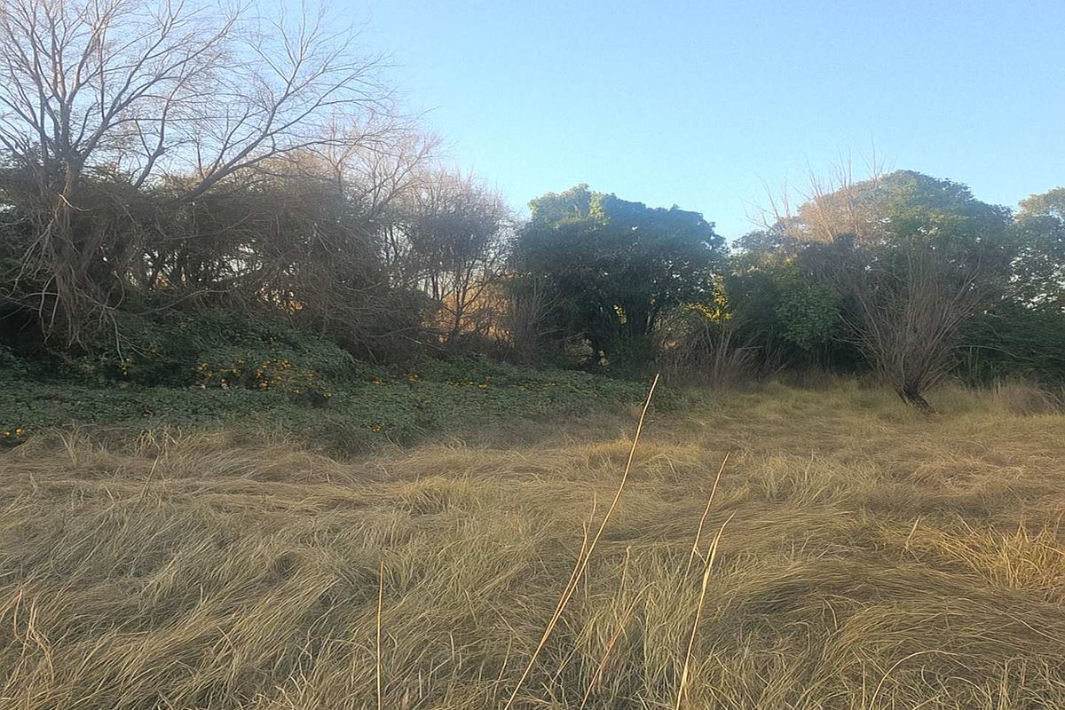 Property with Exceptional Renovation Potential - Photo 2