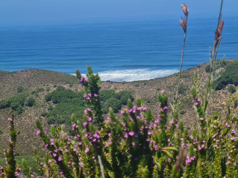 Natures dream - Photo 5