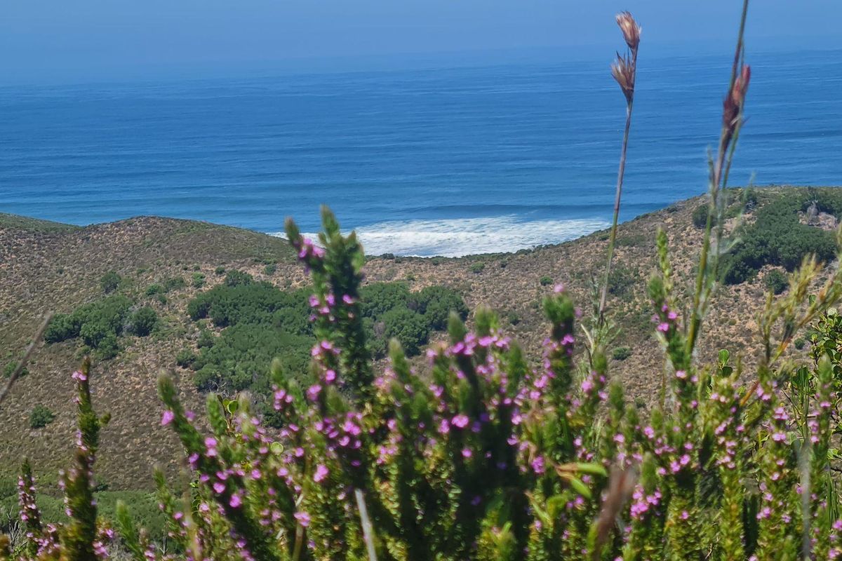 Natures dream - Photo 5