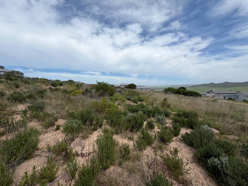 A view of the vacant residential land featuring natural coastal vegetation and sandy terrain with surrounding neighborhood houses in the distance.