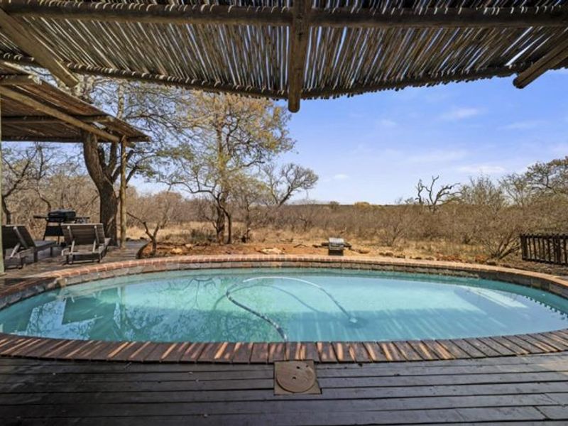 Outdoor pool area featuring a circular swimming pool with brick coping, set within a timber deck under a rustic thatched pergola overlooking bushveld.