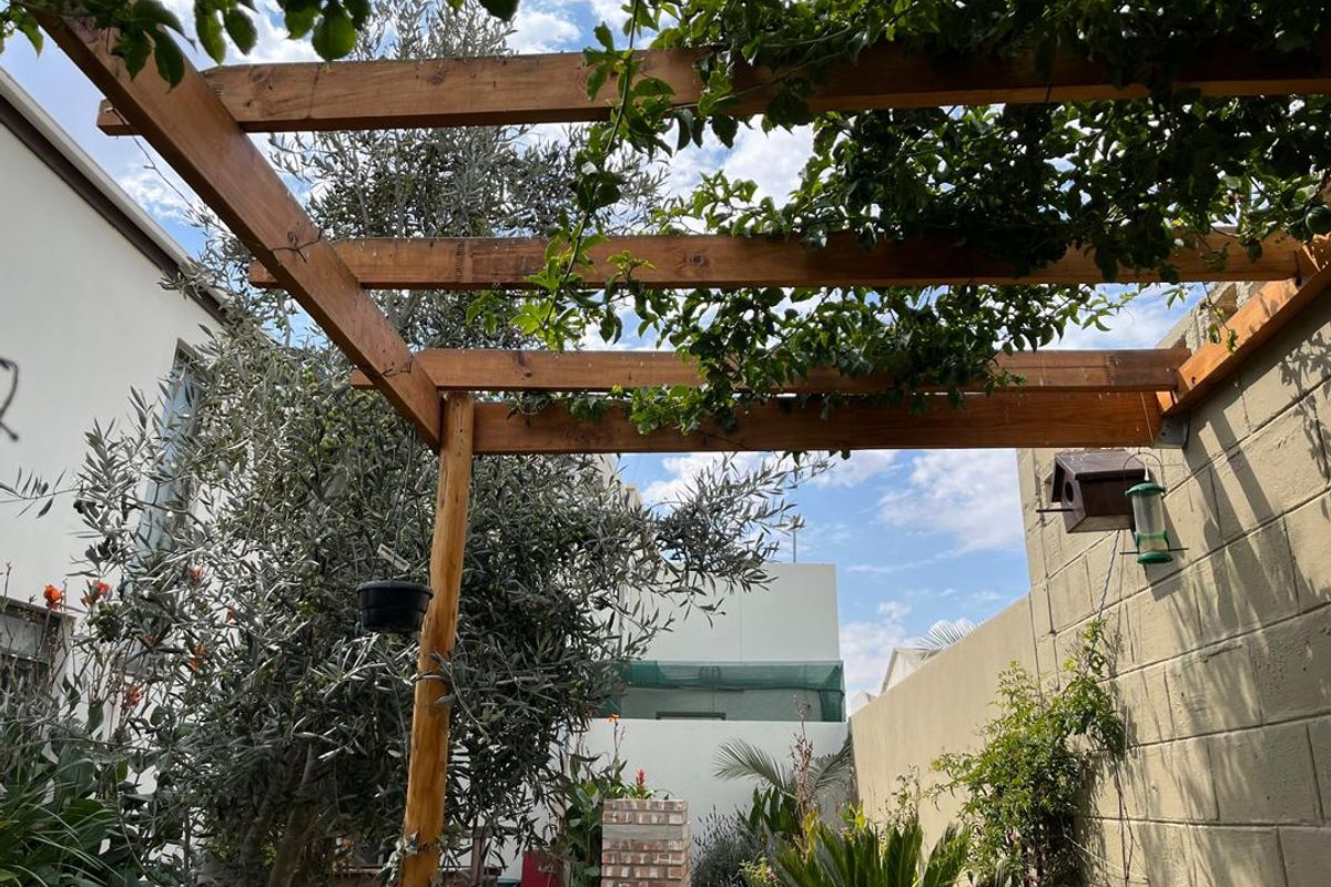 Great Starter home in City Centre - Photo 3