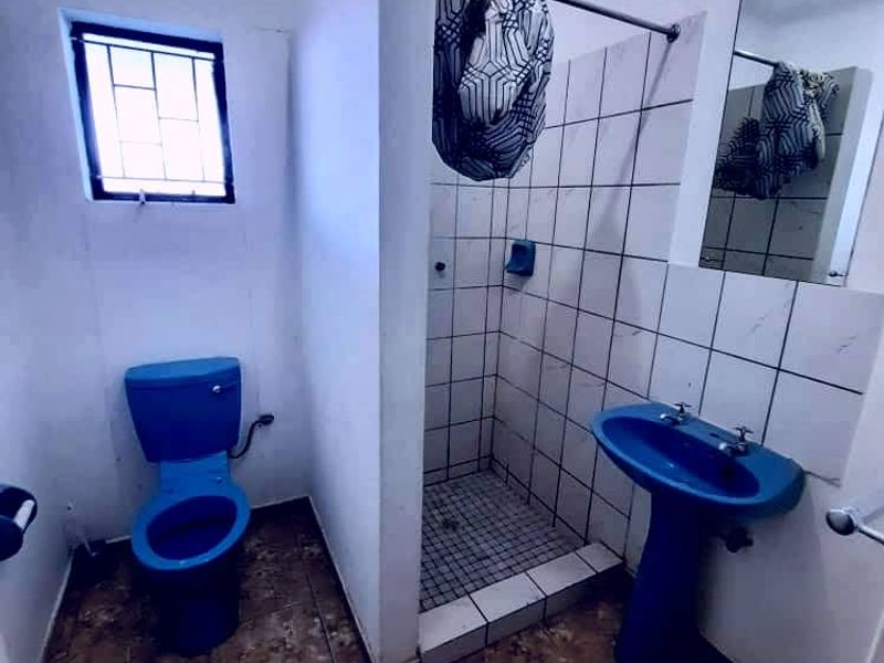A functional bathroom featuring a blue pedestal basin, matching toilet, and a tiled shower enclosure with a security-grille window.