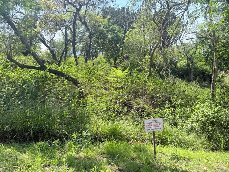 A view of a vacant residential plot featuring mature trees and dense natural vegetation, accessible from a paved street verge.