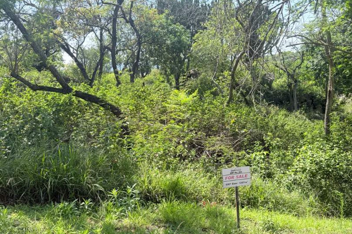 A view of a vacant residential plot featuring mature trees and dense natural vegetation, accessible from a paved street verge.