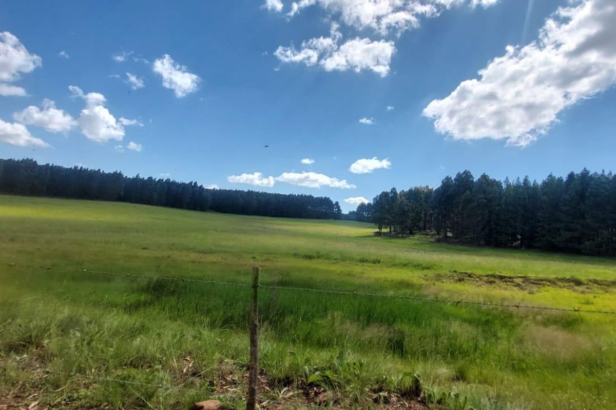 PREMIUM FORESTRY & AGRICULTURAL LAND FOR SALE - Belfast | Mpumalanga Highlands - Photo 2