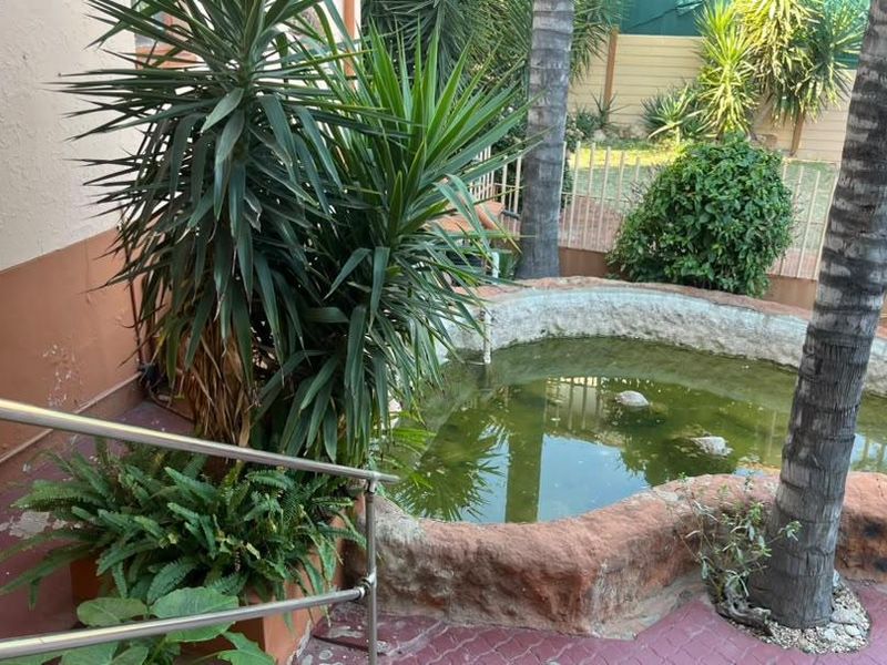 An outdoor area featuring a stone-clad pond, paved patio, and stainless steel handrail, requiring maintenance to the water feature and exterior wall finishes.