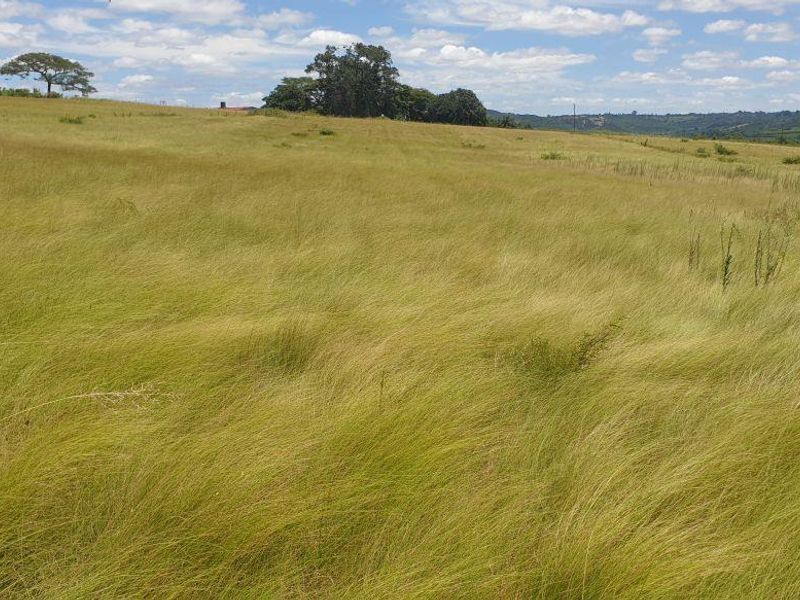 Lovely farm for sale with good soil and ready for its new owner with ambition. - Photo 4