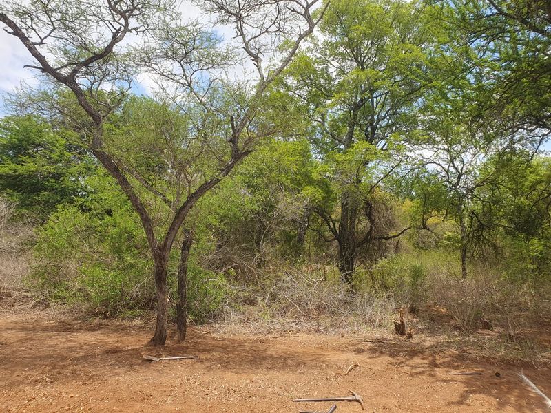 New, 4-Bedroom Family Home – to be constructed in Blyde Wildlife Estate - Photo 5