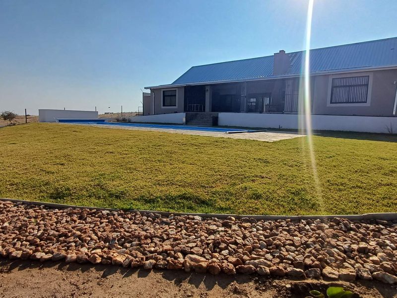 Rear view of the property featuring a swimming pool, landscaped lawn, and a single-story house with a metal roof.