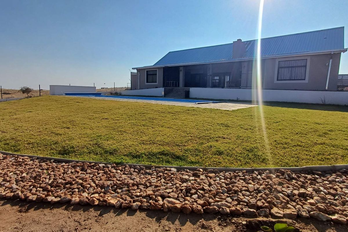 Rear view of the property featuring a swimming pool, landscaped lawn, and a single-story house with a metal roof.
