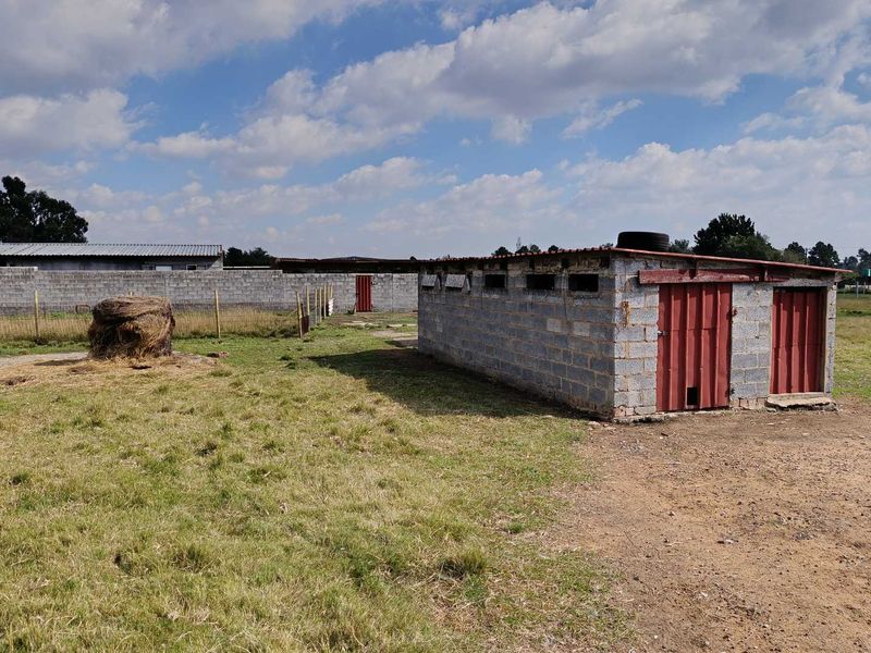 Charming Agricultural Holding for Sale – Hallgate, Nigel - Photo 10
