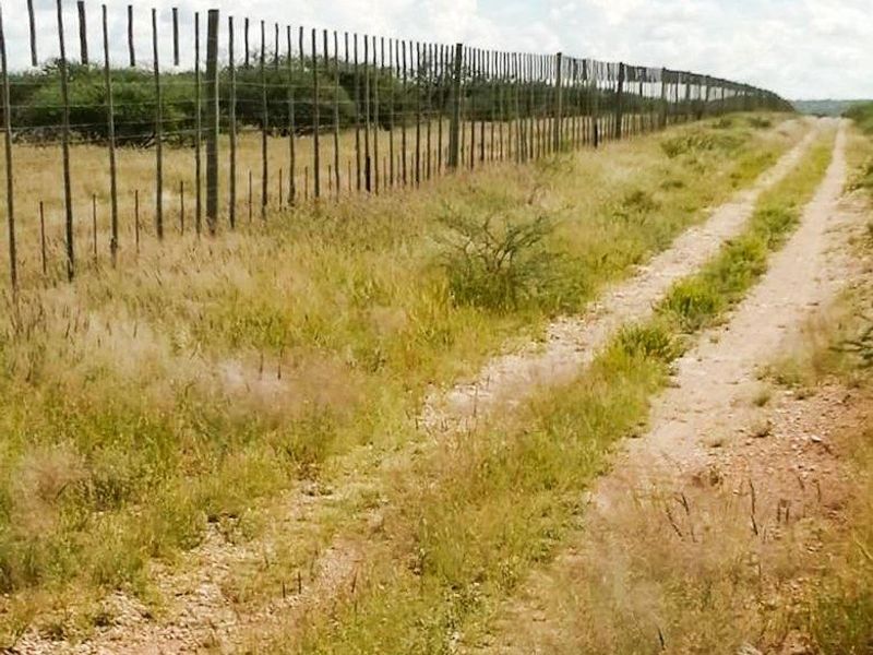 Plot outside Outjo - Photo 2