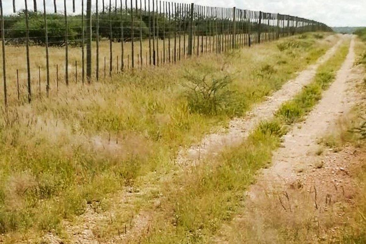 Plot outside Outjo - Photo 2