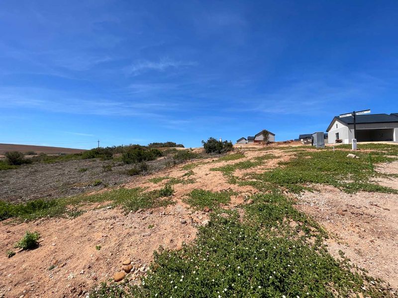 759m2 Vacant Stand For Sale in Hartland Estate - Exclusive Opportunity - Photo 2