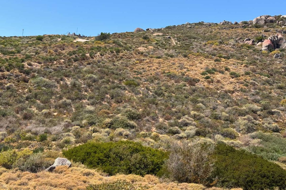 Coastal Stand for Sale – St Helena Views Phase 1 - Photo 2