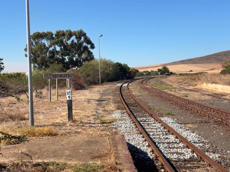 Prime Commercial Opportunity in the Heart of Koringberg - Photo 10