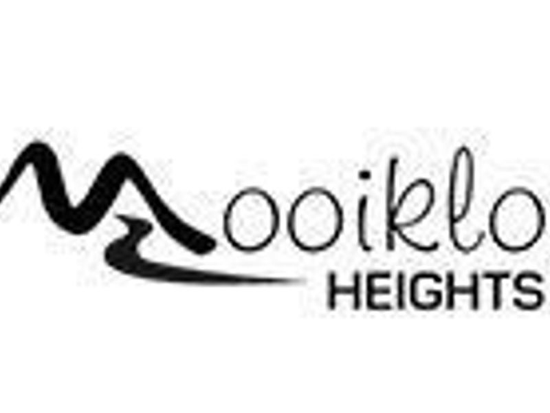 Vacant Land For Sale! - Photo 4