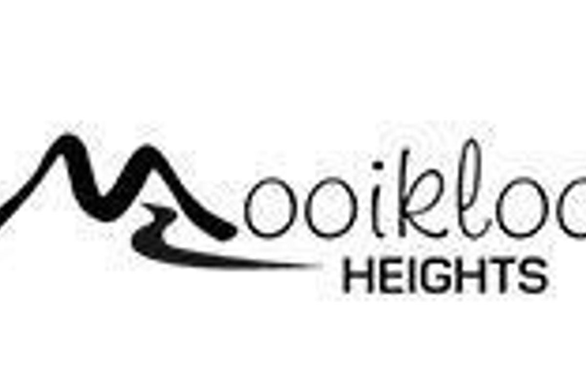 Vacant Land For Sale! - Photo 4