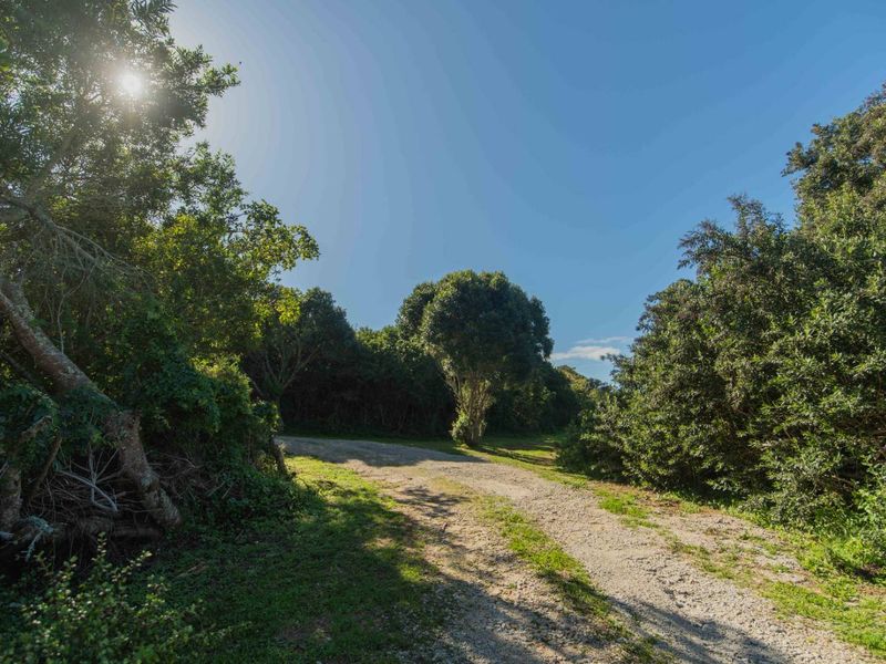 A scenic gravel driveway approach surrounded by mature trees and natural vegetation, providing a private entrance to the property.