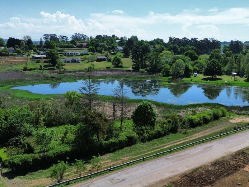 Aerial view of a vacant commercial land parcel featuring a natural pond, surrounding greenery, and direct access to an adjacent road.