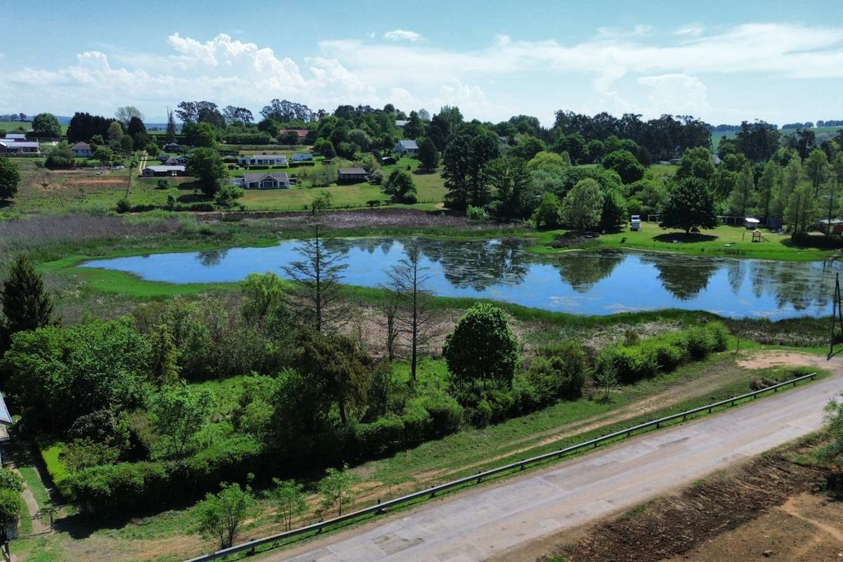 Aerial view of a vacant commercial land parcel featuring a natural pond, surrounding greenery, and direct access to an adjacent road.
