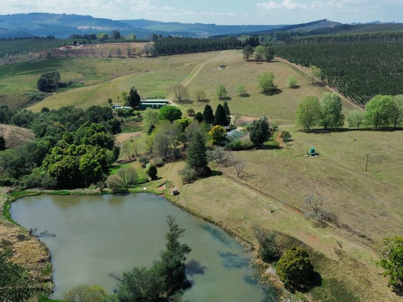 An aerial view of the expansive farm property featuring a large dam, rolling pastures, and established woodland areas.
