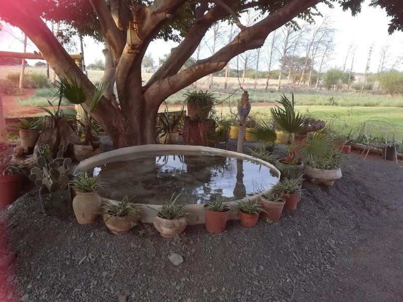 Country living at it's best - Photo 6