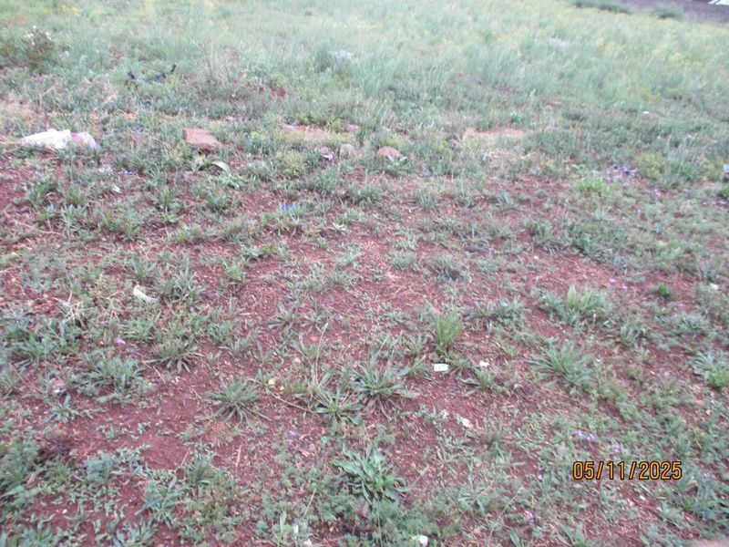 Enjoy the tranquility of Henley - Photo 4