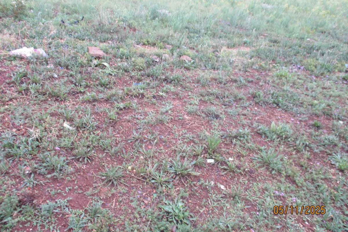 Enjoy the tranquility of Henley - Photo 4