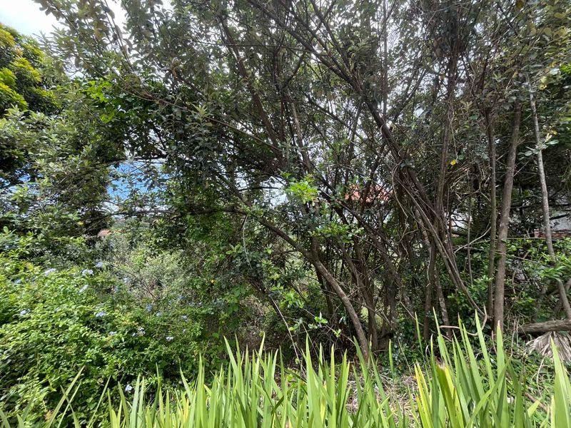 An Exclusive Opportunity to Build a Bespoke Forever Home in Zimbali With Unparalleled, Sweeping Views - Photo 8