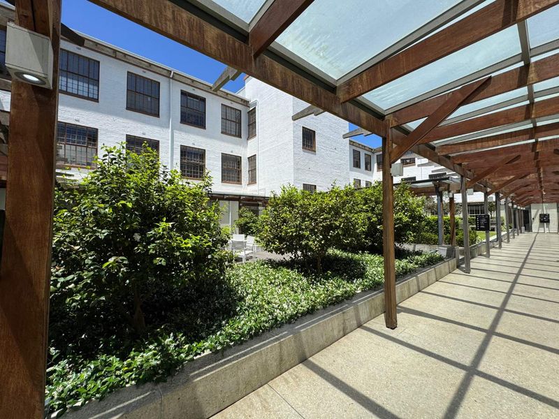 481m2 - To Let - Premium Office Space - Great Westerford Newlands - Photo 10
