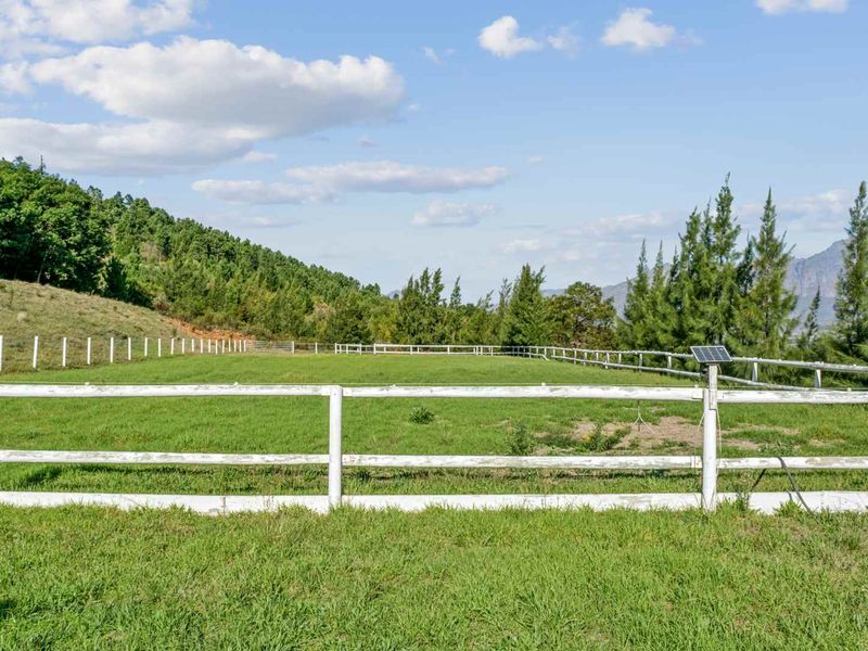 Farm with Opportunities in Drakenstein Rural - Photo 9