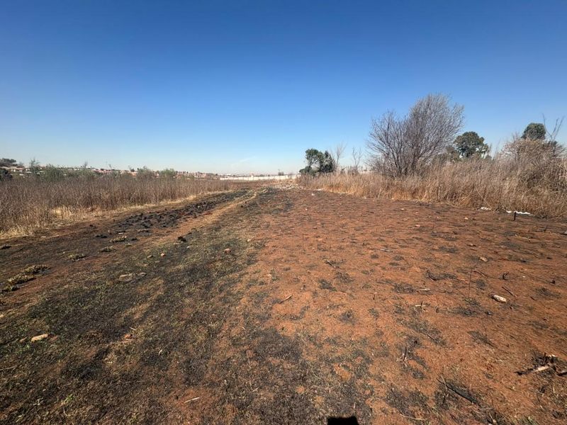 A view of a vacant residential plot featuring dry, scorched earth and overgrown wild vegetation under a clear blue sky.