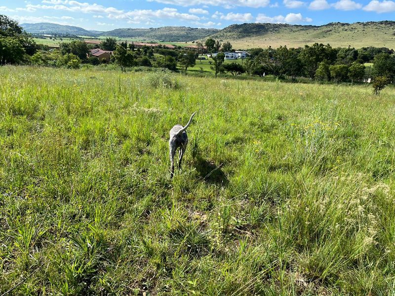 Unlock potential on 2.2ha. Ideal for lifestyle, multi-family living or business - Photo 4