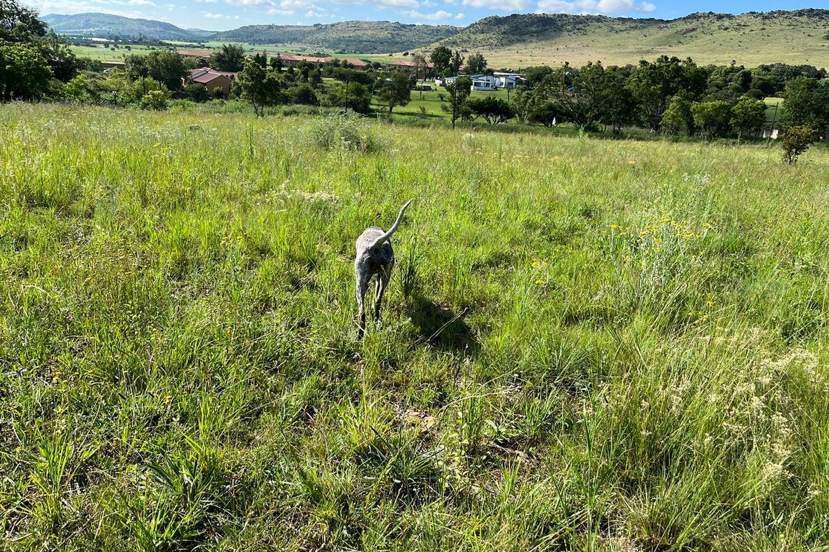 Unlock potential on 2.2ha. Ideal for lifestyle, multi-family living or business - Photo 4