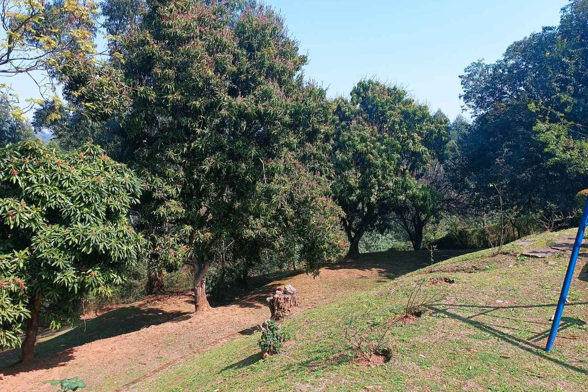 🏡 Spacious 4-Bedroom Family Home to Rent in Chase Valley Downs – Secure Northern Suburbs Living - Photo 4