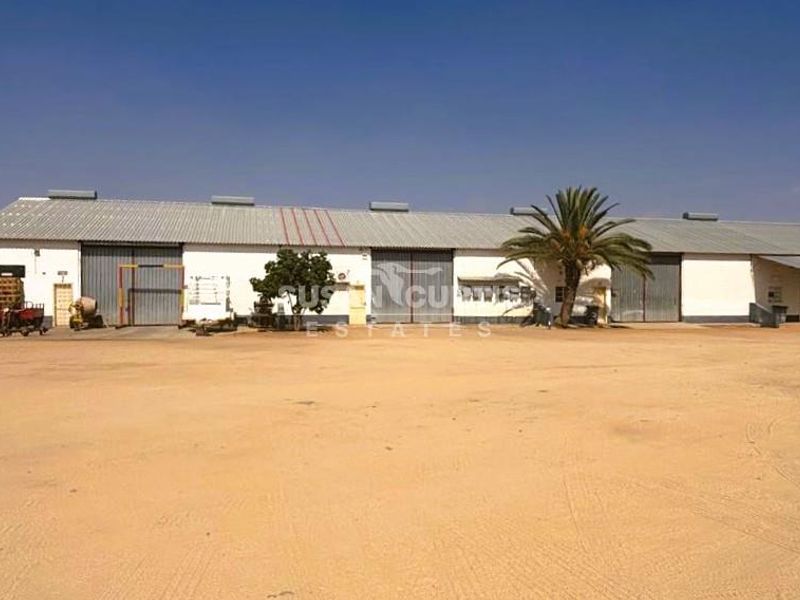 Industrial workshop, sheds and flat one one huge piece of land! - Photo 5