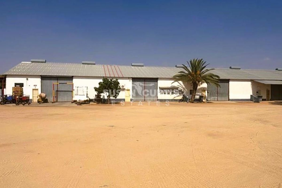 Industrial workshop, sheds and flat one one huge piece of land! - Photo 5